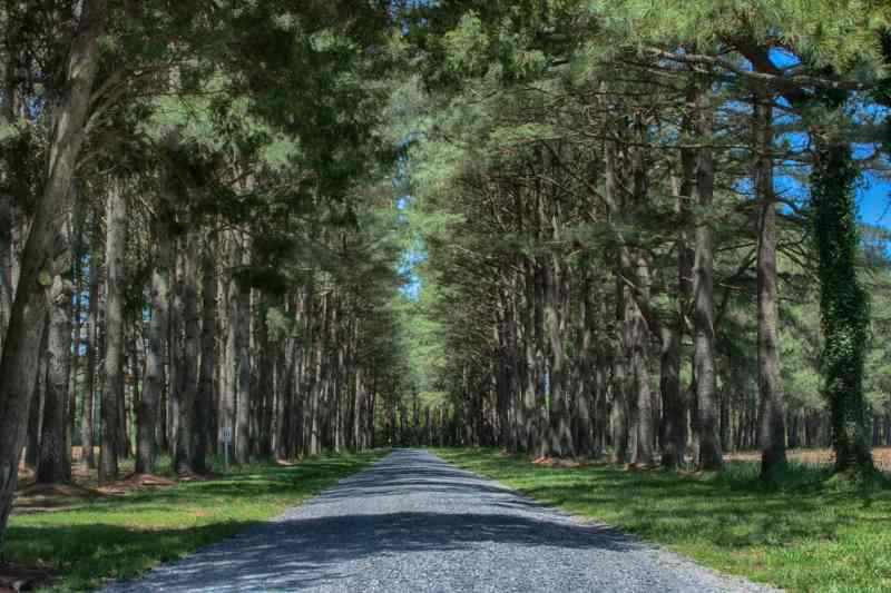 Dorchester County Color Photography