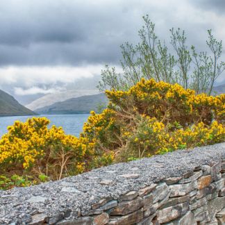 Landscape of Connemara, County Galway Color Photography