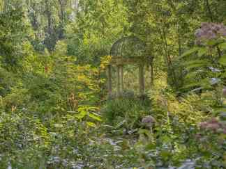 Peirce’s Woods at Longwood Gardens, Longwood Gardens Color Photography