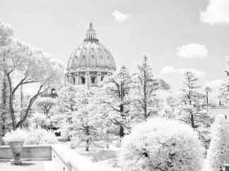 St. Peter's Basilica in Vatican City, Italy Fine Art Prints