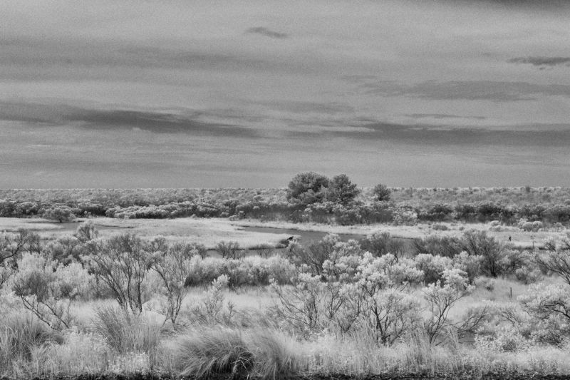 Landscape of Blackwater Refuge, Maryland Canvas Art Prints