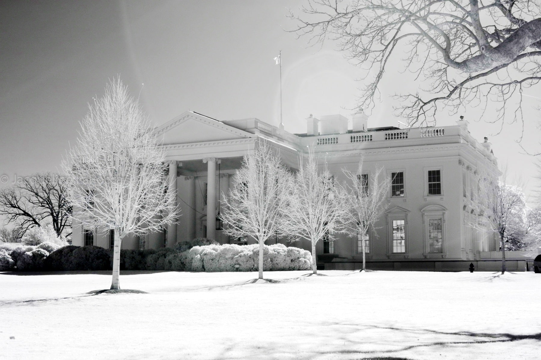 The White House, District of Columbia Canvas Prints, District of Columbia Framed Prints