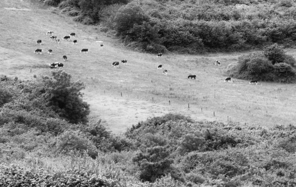 County Clare Landscape