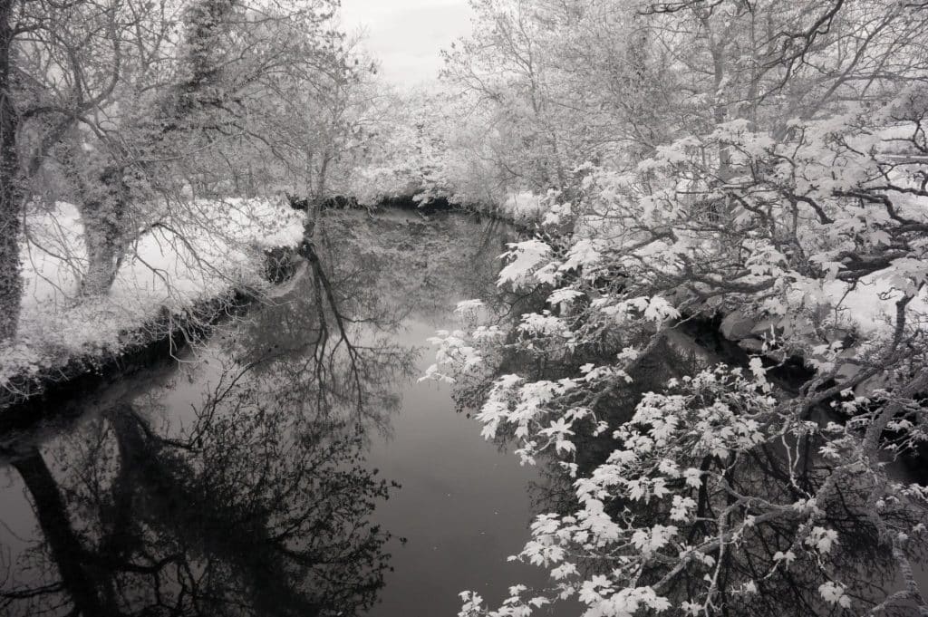 River Lagan at Belvoir Forest Park, Ireland Black and White Canvas Prints