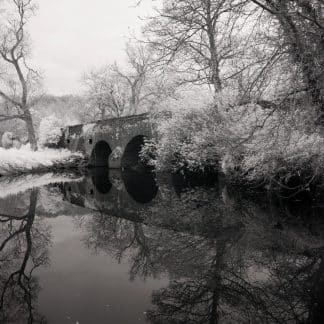 Viaduct over River Lagan at Belvoir Forest Park, Ireland Black and White Prints